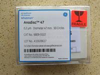 Anopore AAO膜